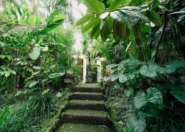 Arjana 2 Ubud