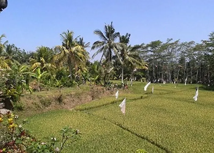 Arjana 2 Ubud